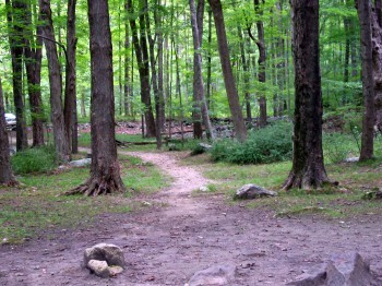 Camp Path