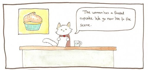 breaking_cat_news