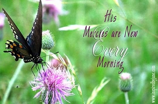 NewMercies
