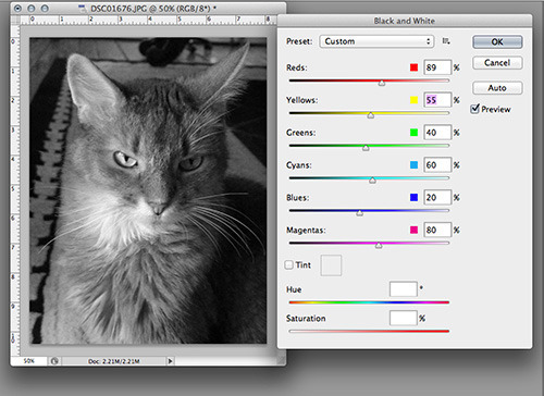 This is a much better representation of my fur