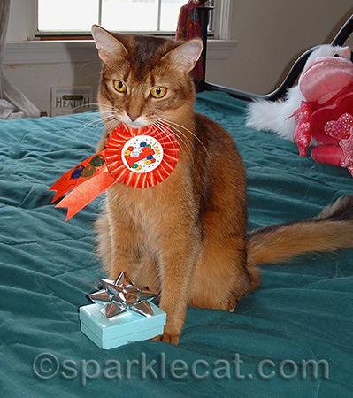 Looking at the outtakes, I had that ribbon on for a long time!
