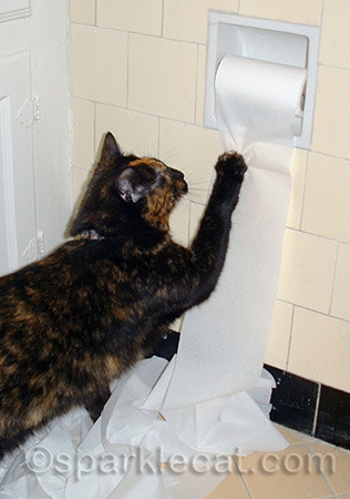Maybe she thought the humans were too entertained by her actions