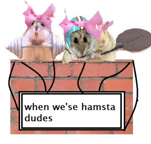 hamst246