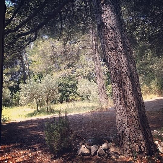 The view from here #life