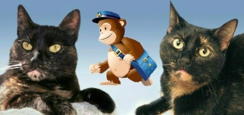 MailChimp_The_Conscious_Cat