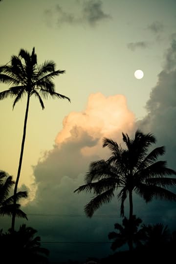 tumblr_n6ftefoPlk1sewsv1o1_500