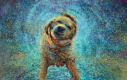 fine-art-finger-paintings-by-iris-scott-cover