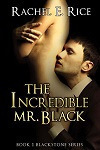 TheIncredibleMrBlack-RachelERice-200x300