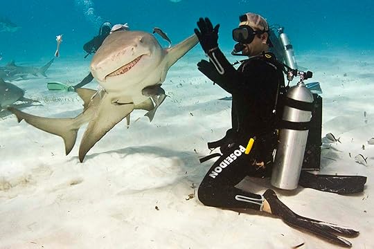 Petting a Tiger Shark