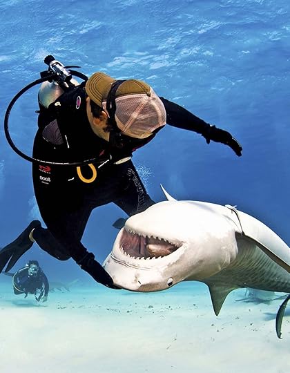 Tiger Shark Just relaxing. 