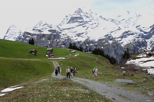 We started our day gazing down at this high alp--where the cows spend their summers Heidi-style--from the revolving restaurant capping the Schilthorn in Switzerland's Berner Oberland. Looking down at these high meadows, I’m always tempted to actually hike through them. And that’s exactly what we did, taking the North Face Trail from Mürren under the Schilthorn. Coming upon this meadow, high above the tree line, was a delightful reward for the climb.