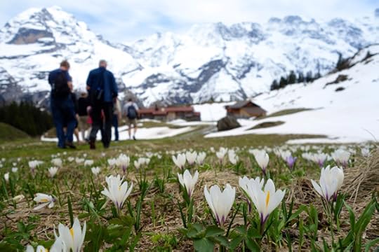 Assistant Tour Guide Trish and I both love our Sony RS100 cameras. With this angle, she captured how the alpine flowers were a big part of our experience. 