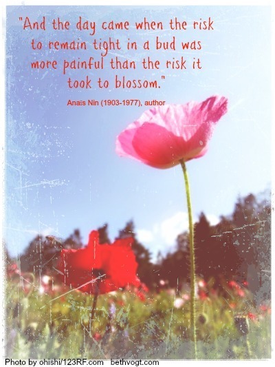 Risk quote Anais Nin 2014