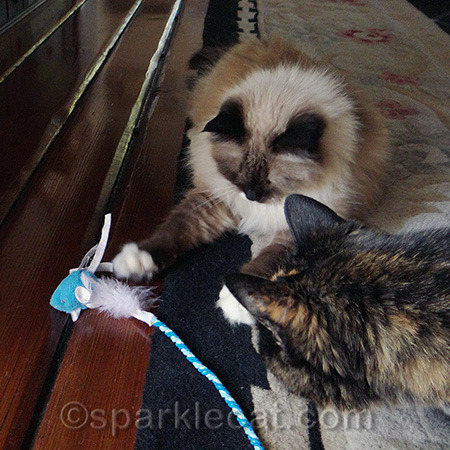 She even shares her toys