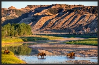  photo ba312510-2a7e-4d49-b3da-a79ca75ba926_zps1b6fadce.jpg