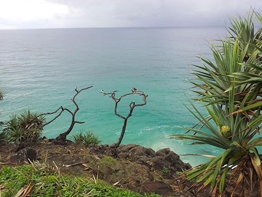 headland photo