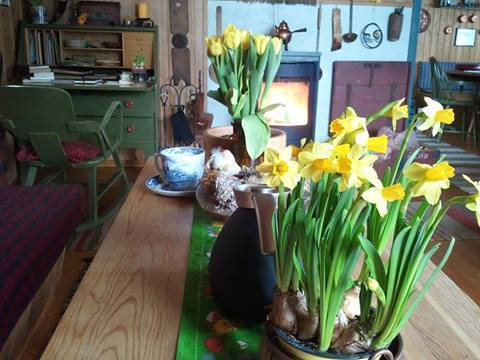 Acabo de actualizar mi blog: SEMANA SANTA EN NORUEGA alestedelcanal.blogspot.com En la foto, típica decoración de Pascua con narcisos y tulipanes amarillos. Dentro de una cabaña en las montañas. Que tengáis una buena semana.