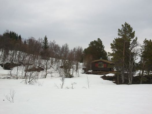 Una foto de Ana Alcolea.