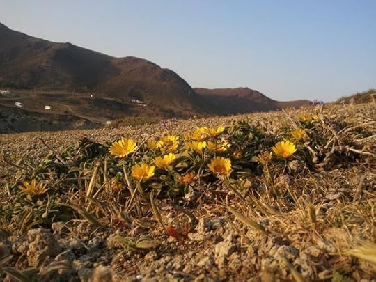 Enlace permanente de imagen incrustada