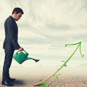 increase profits profit margin make more money