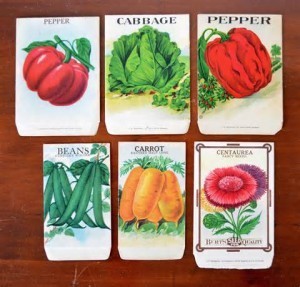 seed packets