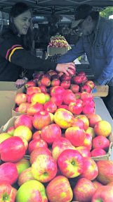 Haury Farms