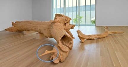 hinoki
