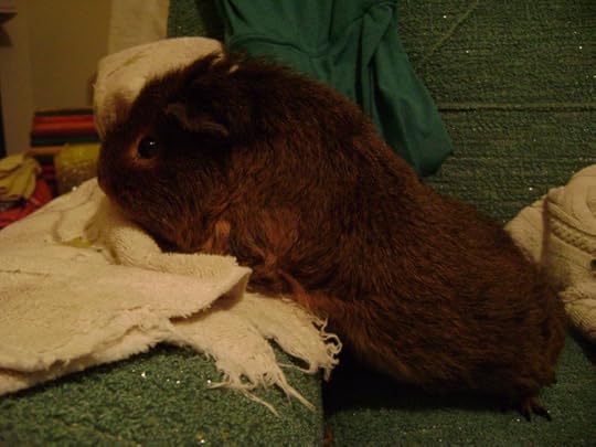 The elusive A. Bates. I’m coming for you D.E. Athkins! Actually, you’re coming to me, I broke down and ordered one of your Point books for $3 on Amazon.