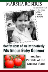 MBBCover