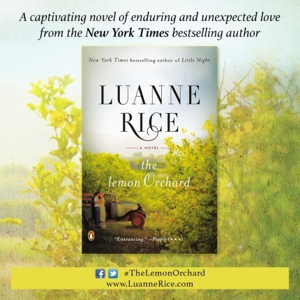 luanne_rice_lemon_orchard_social
