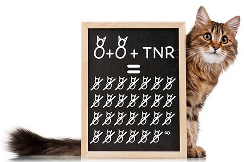 This equation is easier than it looks!