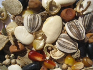 seed-pile-2-1024x768