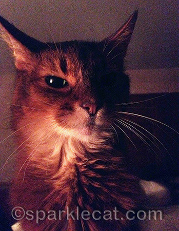 In ur bed while ur are trying to sleep