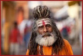 Portrait of a Sadhu