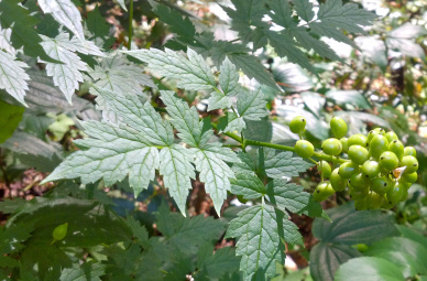 2014-06-09_13-54-37_691