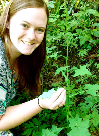 Here Jess poses with Pathfinder, aka Trail Plant, Adenocaulon bicolor, a plant I'll be covering on this blog very soon!