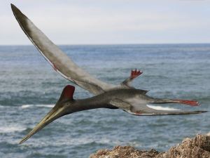 Pterodactylus_BW