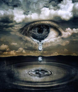 oog
