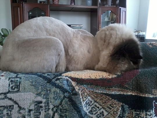 The Voice makes us all tired...