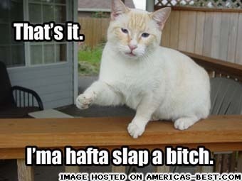  photo imagejpg1_zps7f7ddb5a.jpg