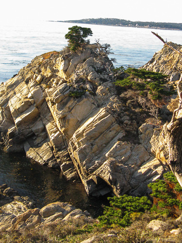 Point Lobos Outcropping