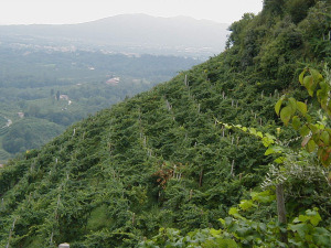 P1010134
