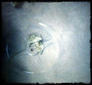 This is a real chariot wheel found in the read sea. There are many more.