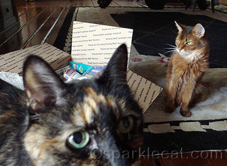 Of course she can't leave without photobombing