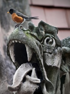 photo of University of Chicago gargoyle