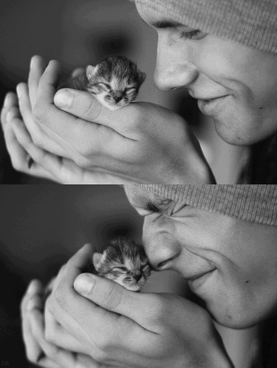  photo 3e8565cc11d922b5a6d72ea968511adb_zpse64e228e.jpg