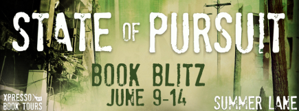 StateofPursuitBlitzBanner
