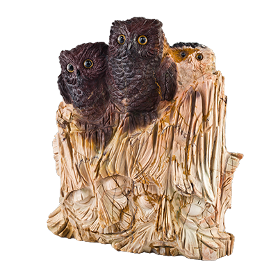  photo photo01_zpsd1fc0835.png