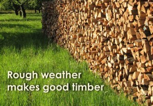 Rough Weather Makes Good Timber or How Asset-Based Thinking Came To Be post image