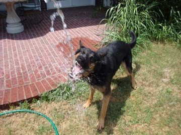 Magic-hose